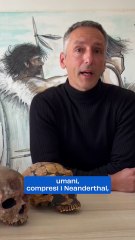 Perch? si ? estinto il Neanderthal?