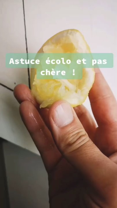 L’astuce du siecle