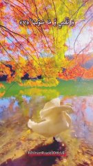 "اللہ کافی ہے، وہ بہترین کارساز ہے۔ بس اسی پر بھروسہ رکھو۔"  #Alhamdulillah #TrustInAllah #IslamicQuotes #Dua #Faith #LifeLessons #Blessings #Sabr #positivevibes