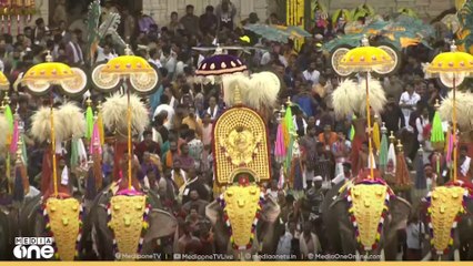 'നായകൾക്ക് എതിരായ ക്രൂരതയിൽ എടുത്ത കേസ് എങ്ങനെ ആനയിലേക്ക് എത്തി'