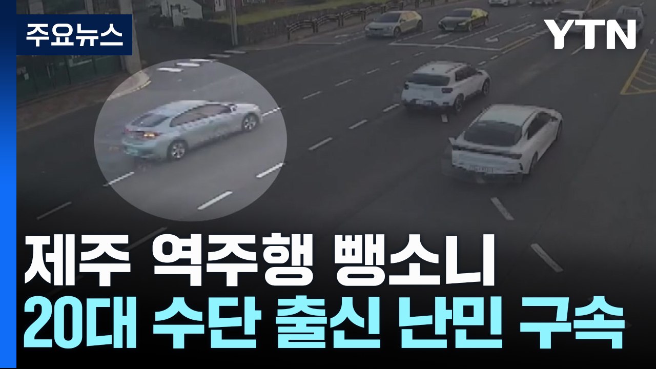 무면허·역주행·뺑소니...잡고 보니 수단 출신 난민 / YTN