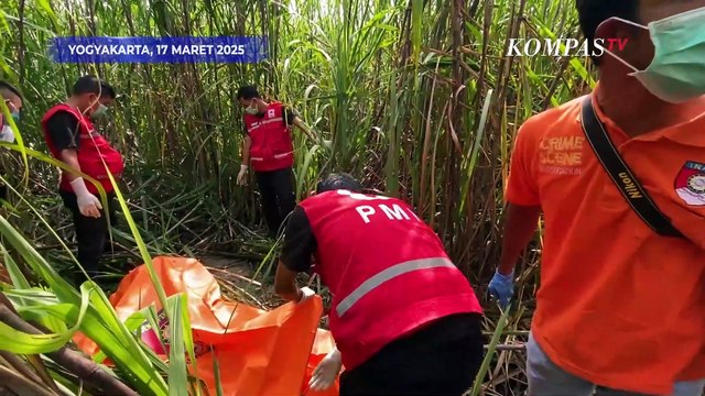 Penemuan Kerangka Manusia di Ladang Tebu Bantul Yogyakarta, Polisi Beberkan Hal Ini