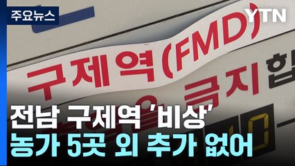 구제역, 방역대 밖 확진..."백신 접종·차단 방역 총력전" / YTN
