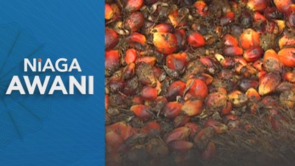 Strategi pengurusan bakat FGV perkukuh pertumbuhan ekonomi, pembangunan komuniti