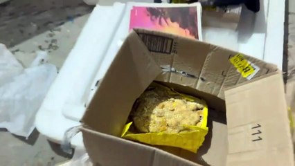 Quadrilha alvo de operação na Grande Curitiba
