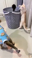 Who Needs Toys? 🧺😻 My Cats Love This Basket!