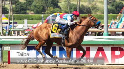 Bettor Things - Haskell Stakes