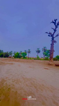 Exploring the Hidden Beauty of Village Life ❤ A Visual Journey #maxrecords #vlog #foryou