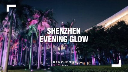 Shenzhen's Evening Glow: Walking Tour Downtown
