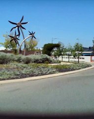 Corolla Does Stupid Things