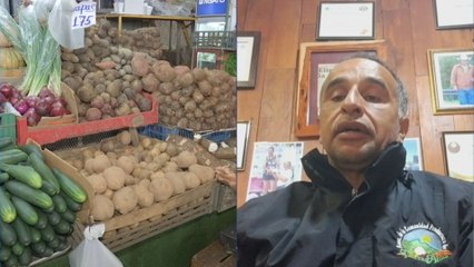 Productor asegura que la distribución de papa y cebolla ya se ha normalizado 🌱