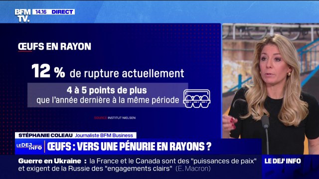 Hausse de la demande, baisse saisonnière de la production… Les raisons des tensions sur l'approvisionnement en œufs