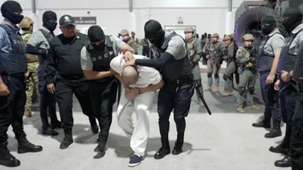 Trump invoque une loi de 1798 pour expulser un « gang vénézuélien » vers une prison au Salvador