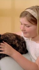 ECTLS - La particularité des chats écaille de tortue