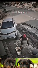 Impossible is nothing