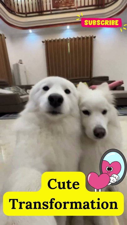Cute Transformation