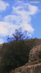 Kerak, Jordan in one minute_ The Historical castle! - Short