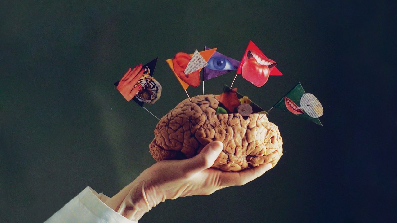 "L'Île aux Fleurs" de Jorge Furtado (1989)