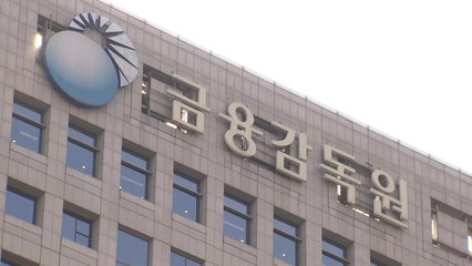 금감원, MBK 포함 대형 사모펀드 점검 나서 / YTN