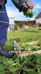 Agriculteur polyhandicapé, il se bat tous les jours !