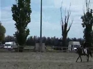 rlm club poney Pertuis 04/05/08  75%