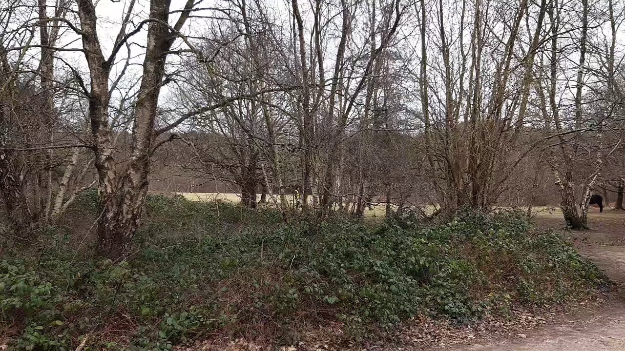 Filming in Sutton Park.