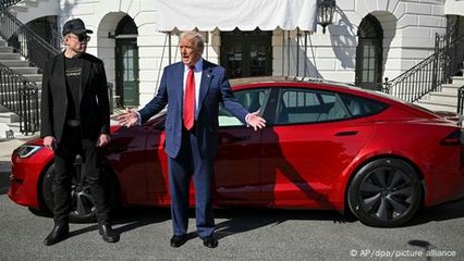 Are Elon Musk's politics to blame as Tesla sales tank?