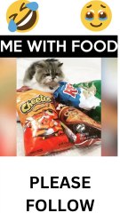 CAT NOT WANTS TO SHARE THE FOOD