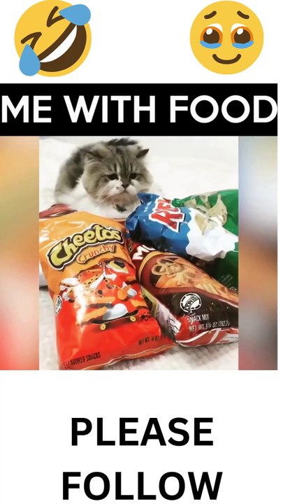 CAT NOT WANTS TO SHARE THE FOOD