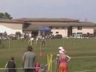 Finale inter Régionale à  Tingneux 2008 Champion hihihi