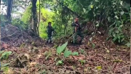 Manuel Salas. Fuerza Pública de Limón