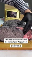 Aged Wagyu beef Would you eat this