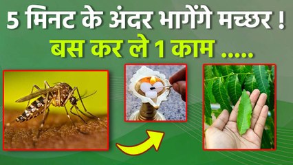 Get Rid Of Mosquito:गर्मी में बढ़ते मच्छर भगाने का रामबाण नुस्खा,कैसे करें Use | Boldsky