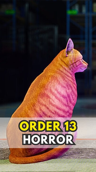 ORDER 13 ⭐ : Préparateur de commande est un métier à haut risque !