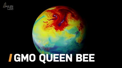 Could This GMO Queen Bee Be The Answer to Our Global Warming Question