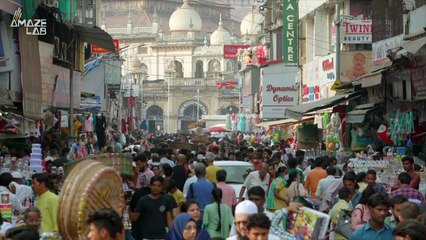 The Disappearance of This Very Specific Thing in India Actually Led to Thousands of Human Deaths