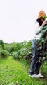Women Harvesting Grapes With BIG Smiles! #women #fruit #harwesting #smile