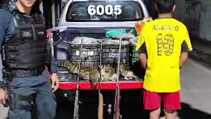 b'Maraj: homem preso com carne ilegal de Jacar armas e drogas'