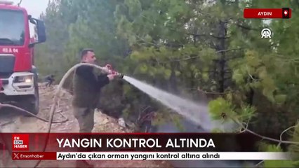 Aydın'da çıkan orman yangını kontrol altına alındı