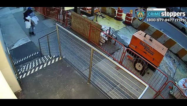 Cops searching for suspects who sprayed irritant into Manhattan Snipes to help carry out robbery