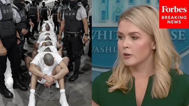 Karoline Leavitt: 'Wholly Confident' Trump Admin Will Win Case On Deportation Of Alleged TdA Members