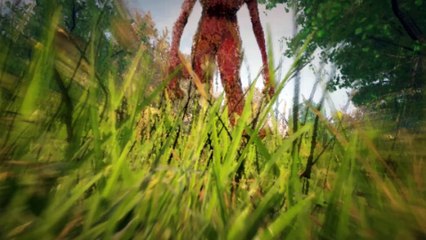 ET de Varginha - Parte 2