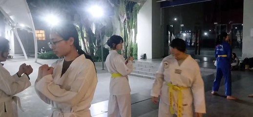 Taekwondo , tkd, tlu  20250317_184622