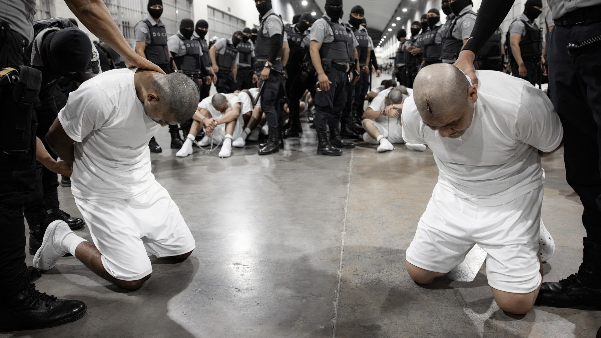 La administraci�n de Donald Trump sigue adelante con su plan de deportaci�n masiva, el m�s grande en la historia de Estados Unidos, a pesar de las restricciones legales. Este proceso ha llevado a la privaci�n de derechos de ciudadanos con permisos de residencia y green cards, desafiando abiertamente las decisiones de los tribunales.
Hasta ahora, la Casa Blanca hab�a acatado las �rdenes judiciales que bloqueaban algunas de sus medidas m�s controvertidas, como la congelaci�n de fondos, los despidos masivos o la eliminaci�n de la ciudadan�a autom�tica para hijos de inmigrantes indocumentados. Sin embargo, el gobierno ha dejado de cumplirlas.