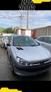 05-Peugeot 206 2002 206 100 Millions