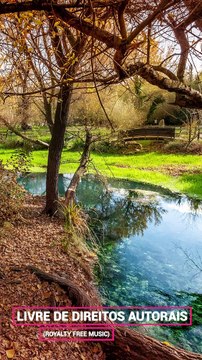 ✅💘Música relaxante e alegre para aliviar o estresse, ansiedade e angústia- Elimine emoções negativas- Fragmentos #41