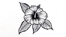 How to draw a flower easy step by step __ Hibiscus flower drawing