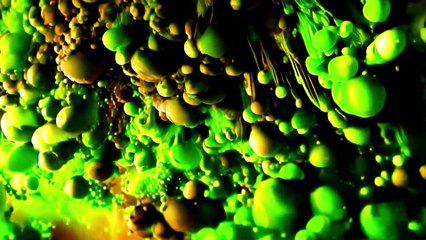 Dancing Fantasy - Forever