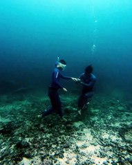 pedida de matrimonio bajo el agua