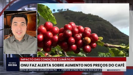Impacto das condições climáticas: ONU faz alerta sobre aumento nos preços do café